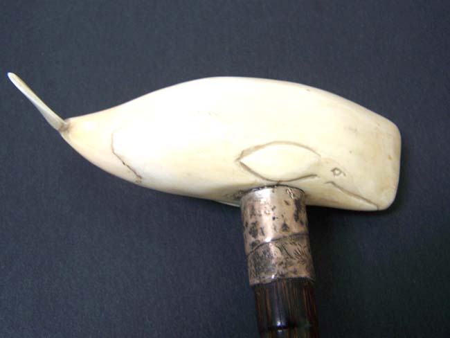 A 19th century Palm Wood Walking Stick with ANTIQUE Whale Ivory Handle in the form of a Sperm Whale — image 3